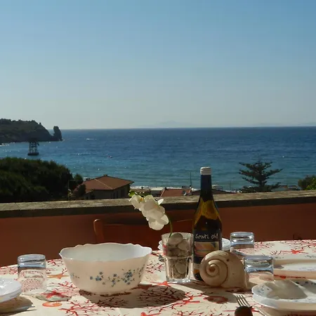 Giglio Rosa 4 N23 * كامبيس