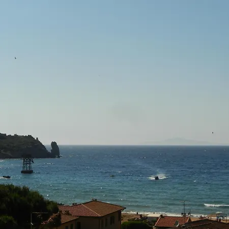 Giglio Rosa 4 N23