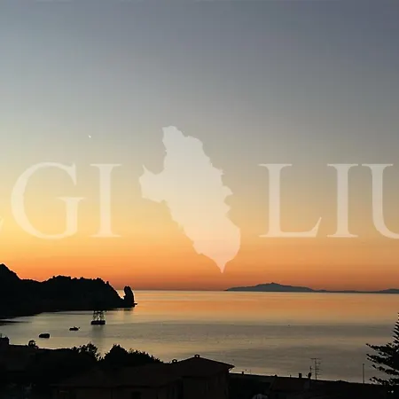 Giglio Rosa 4 N23